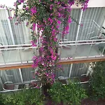 Marin-a & Otel Turgutreis