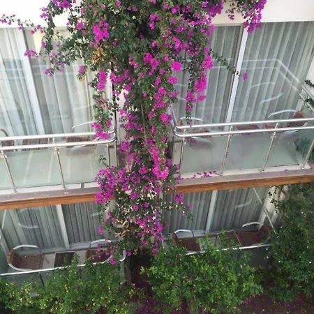 Marin-a & Hotel Turgutreis