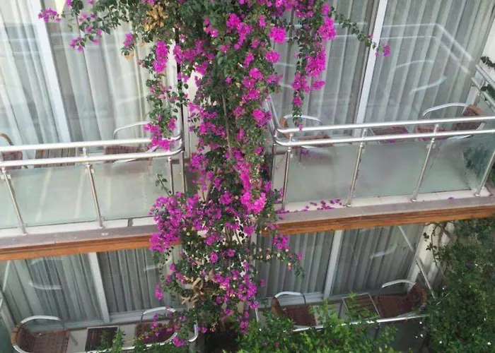 Marin-a & Hotell Turgutreis